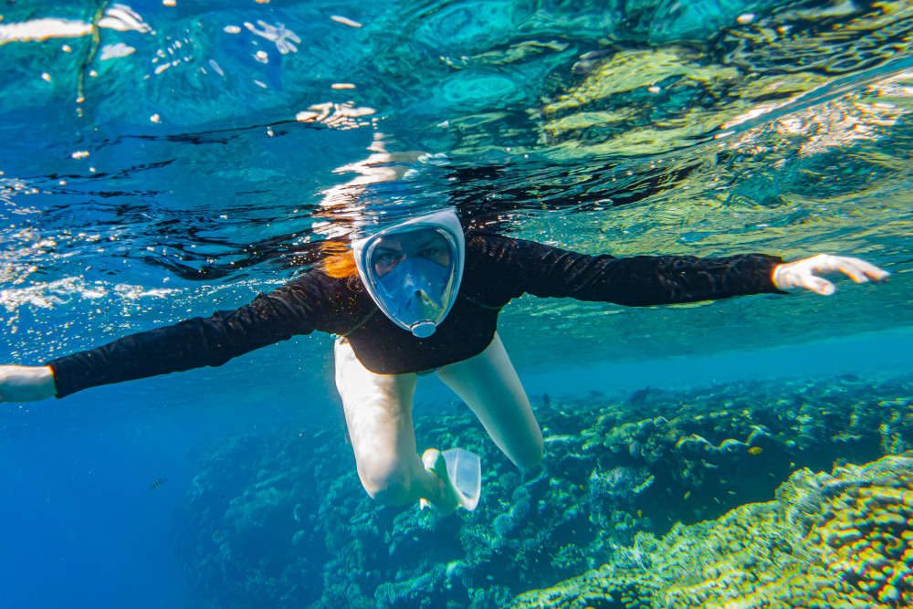 Dive and explore the vivid Mediterranean seabed